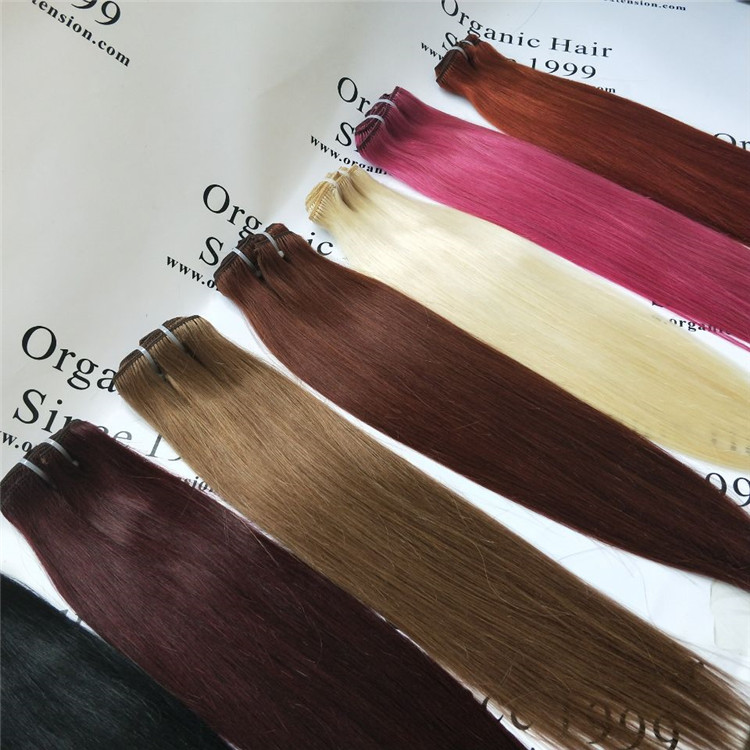 Clip in hair extensions of beautful color H14